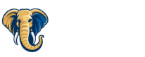Shaiwan Logo